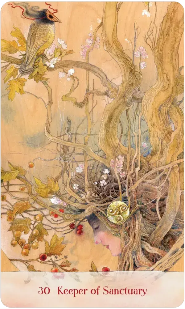 Tree Keepers Oracle Deck & Guidebook