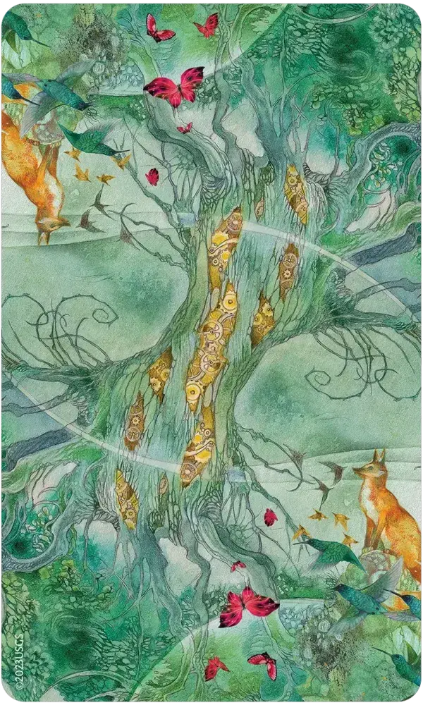 Tree Keepers Oracle Deck & Guidebook