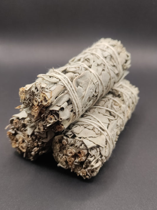 White Sage Smudge Sticks 4" Bundles - 3 Pack