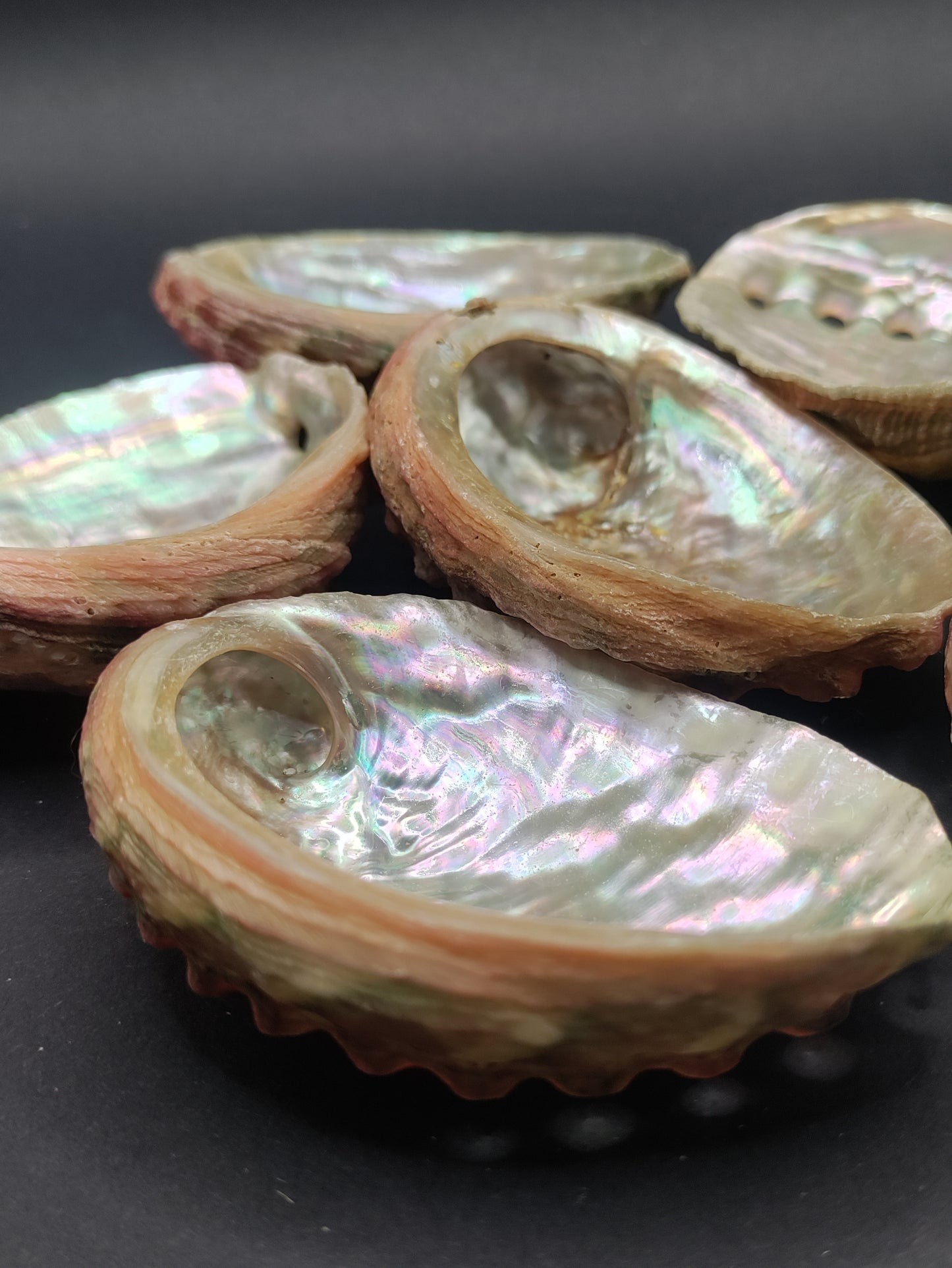 2"-3" Abalone Shells - Bowl for Smudging