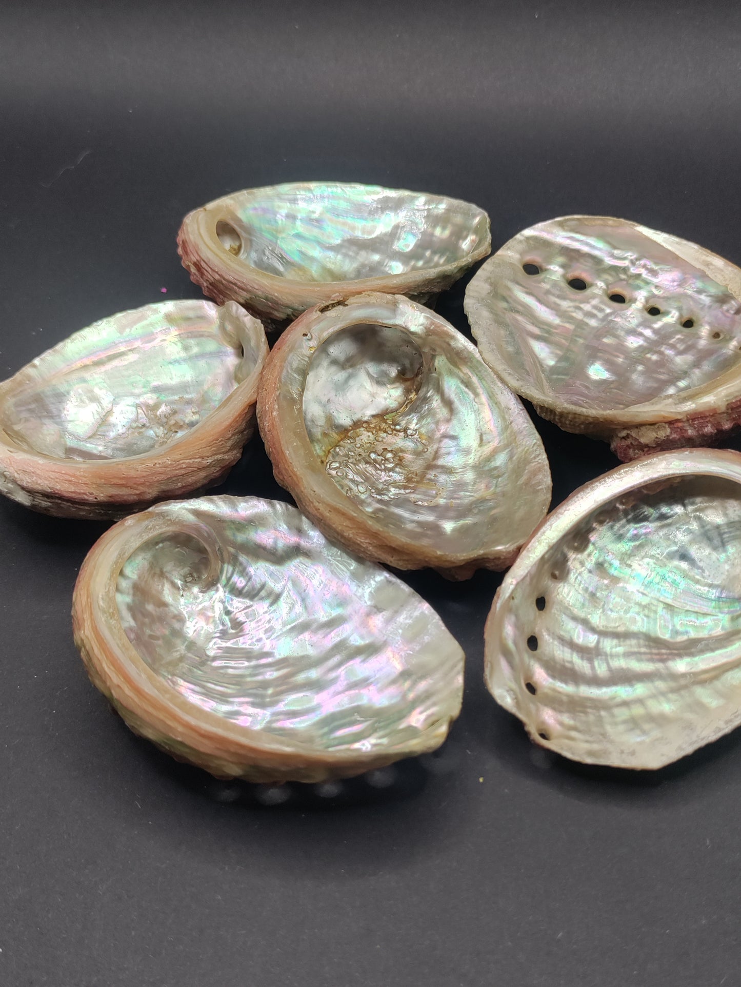 2"-3" Abalone Shells - Bowl for Smudging