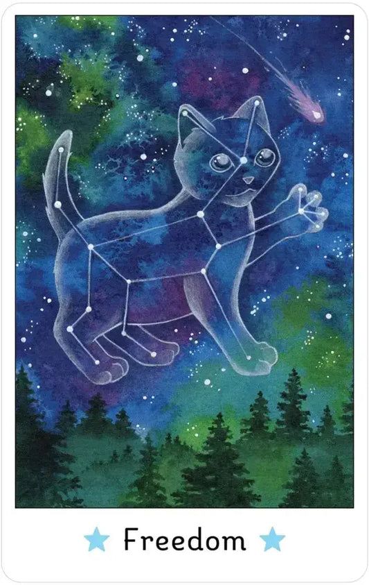 Affirmations of the Fairy Cats Deck and Book Set